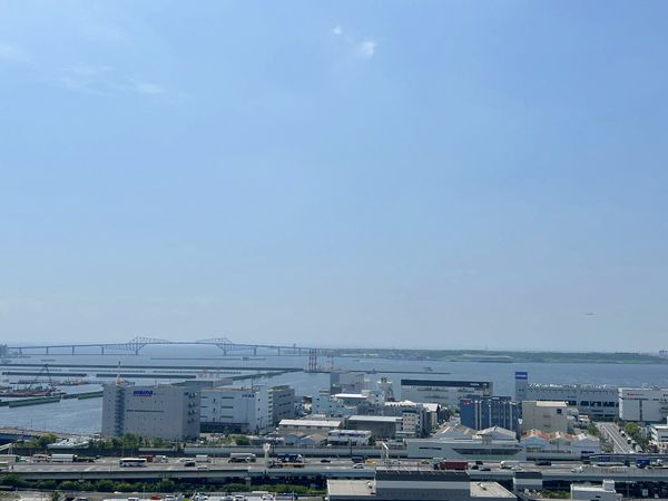 パークタワー東雲 眺望