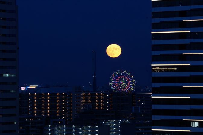 パークタワー晴海 眺望 パークタワー晴海 眺望
