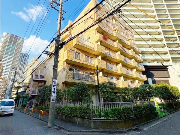 ダイアパレス武蔵小杉 外観 外観