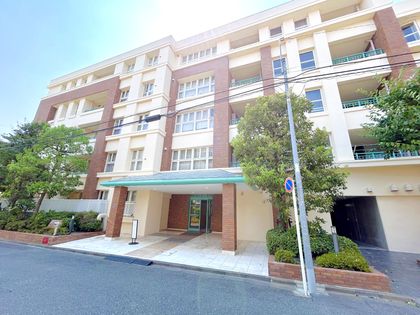 ラヴィドール武蔵小杉 外観