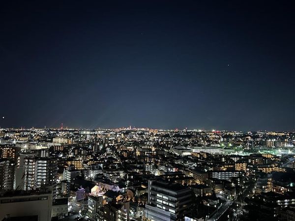 パークシティ武蔵小杉ザガーデンタワーズウエスト 眺望