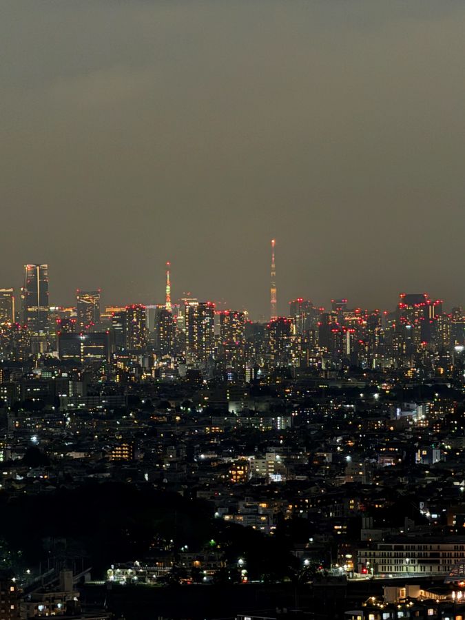 プラウドタワー武蔵小杉 眺望 眺望