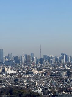 プラウドタワー武蔵小杉 眺望 眺望