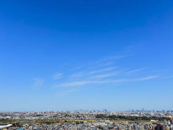 パークシティ武蔵小杉ザガーデンタワーズウエスト 眺望