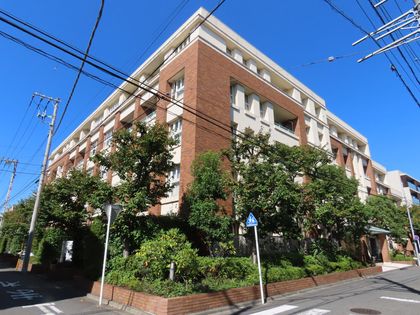 ラヴィドール武蔵小杉 外観