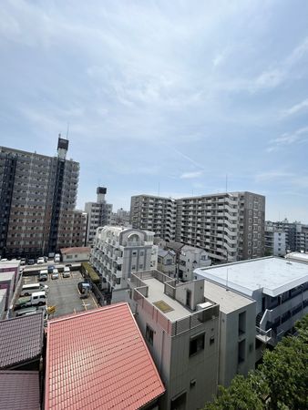 グリーンパーク川崎 眺望 眺望
