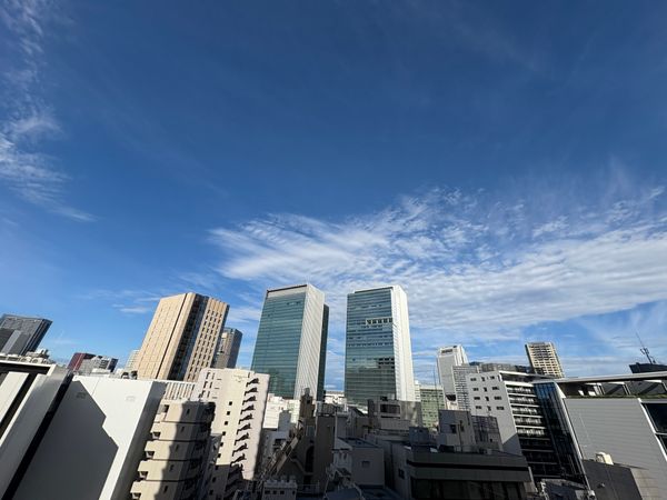 ブランズタワー芝浦 眺望