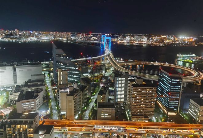 芝浦アイランドグローヴタワー 眺望
