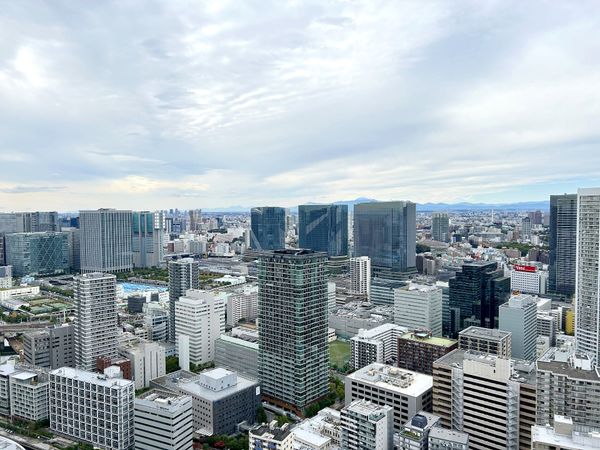 芝浦アイランドグローヴタワー 眺望
