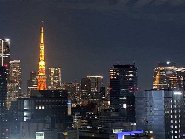 GLOBAL FRONT TOWER 眺望