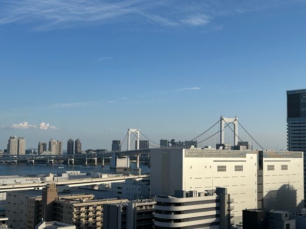 パークタワー芝浦ベイワードオーシャンウイング 眺望
