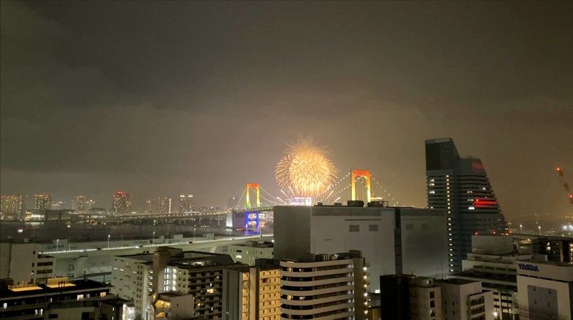 パークタワー芝浦ベイワードオーシャンウイング 眺望