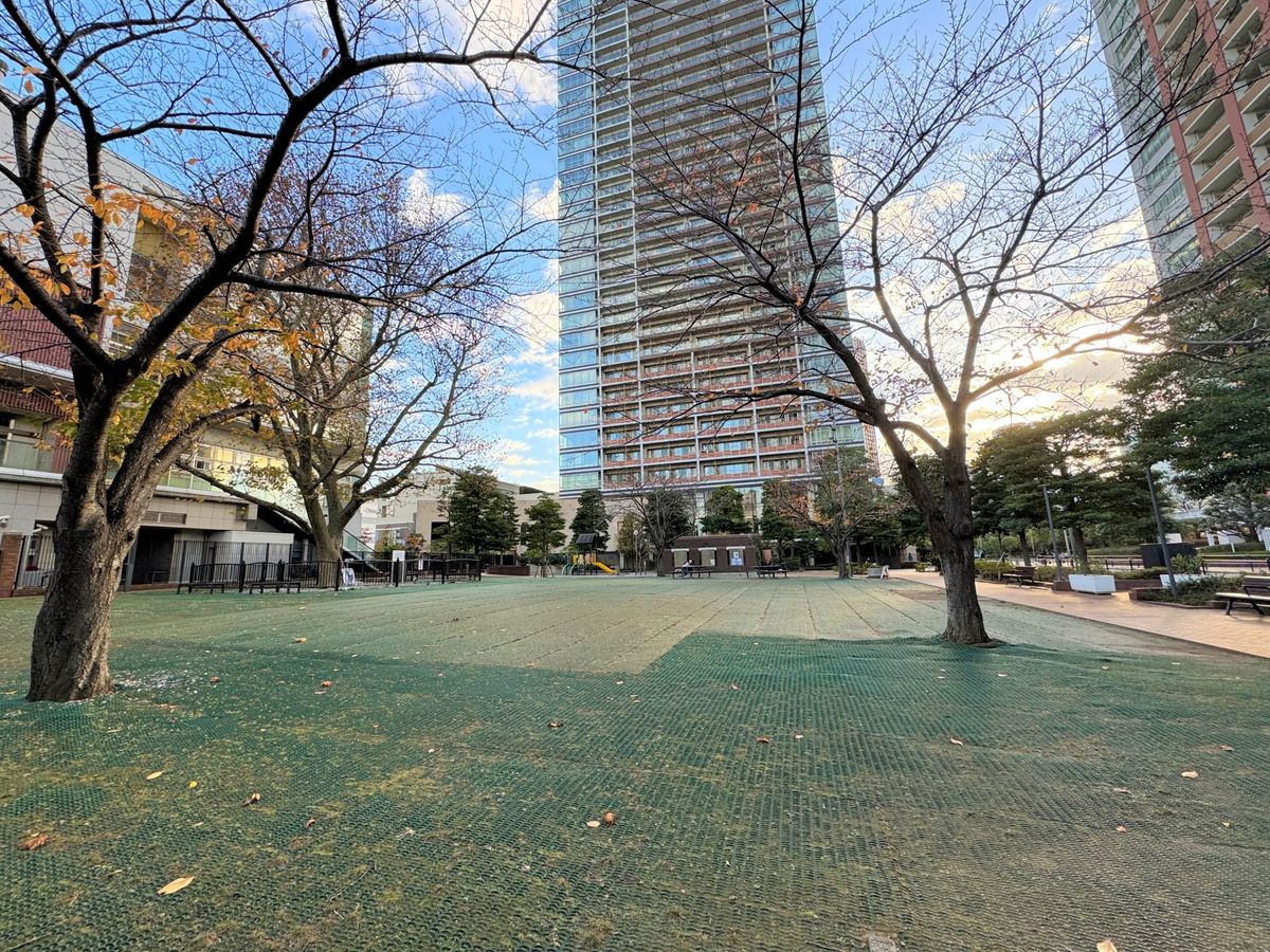 芝浦アイランドグローヴタワー プラタナス公園(約90m) プラタナス公園(約90m)