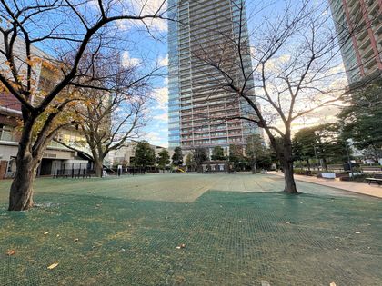 芝浦アイランドグローヴタワー プラタナス公園(約90m) プラタナス公園(約90m)