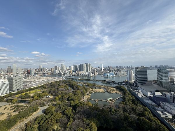 東京ツインパークス バルコニーから望む眺望