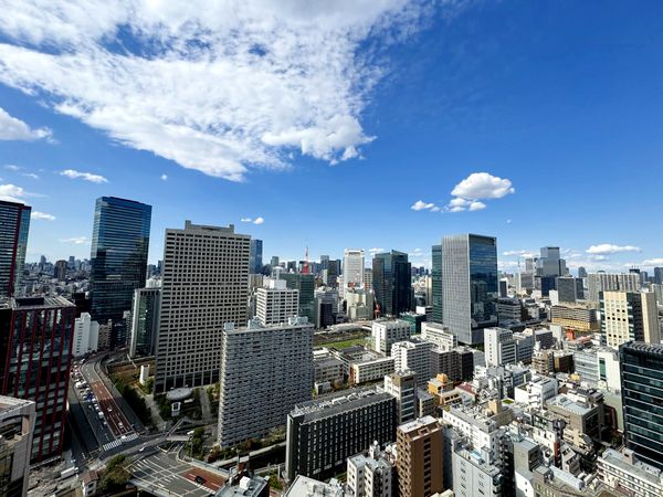 キャピタルマークタワー 眺望 キャピタルマークタワー 眺望