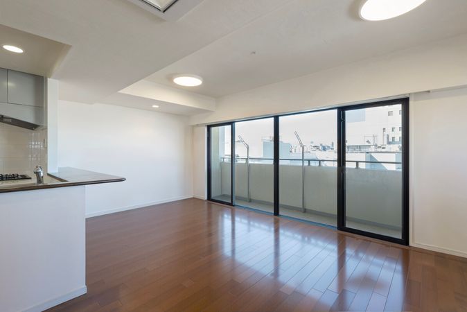 アデニウム田端 リビング