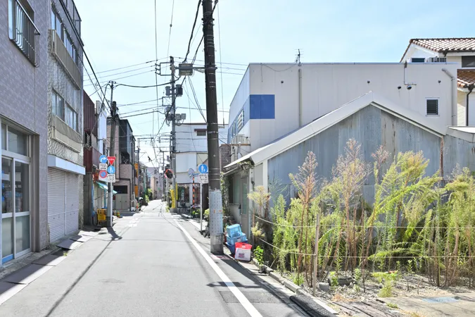 前面道路