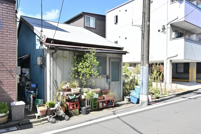 現地