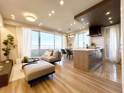 千住ミルディスⅡ番館(アトラスタワー北千住) リビング