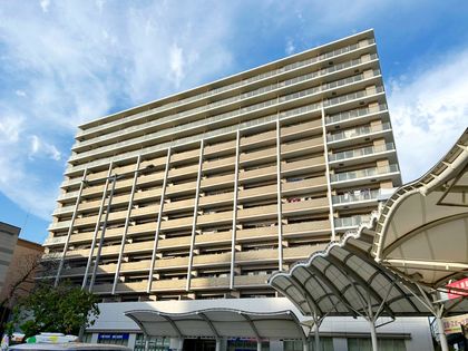 マインループ 外観