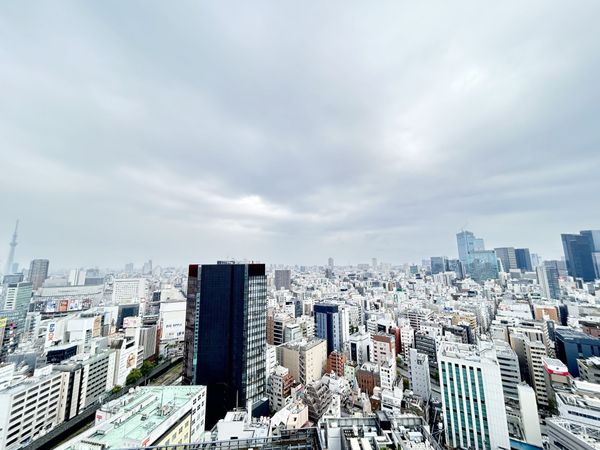 ワテラスタワーレジデンス 眺望 眺望