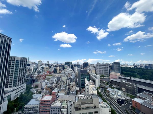平河町森タワーレジデンス 眺望