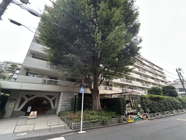 南青ハイツ 眺望 南青ハイツ 眺望