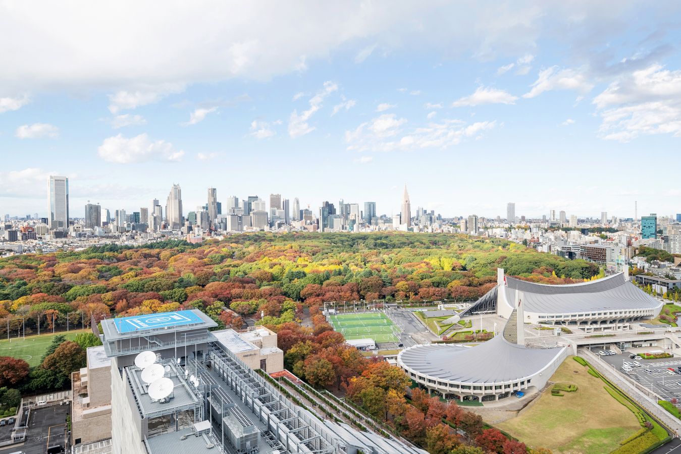 パークコート渋谷ザタワー 眺望 眺望