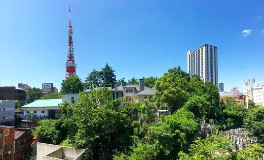 ウェリスタワー愛宕虎ノ門 眺望