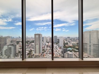 赤坂タワーレジデンストップオブザヒル 眺望
