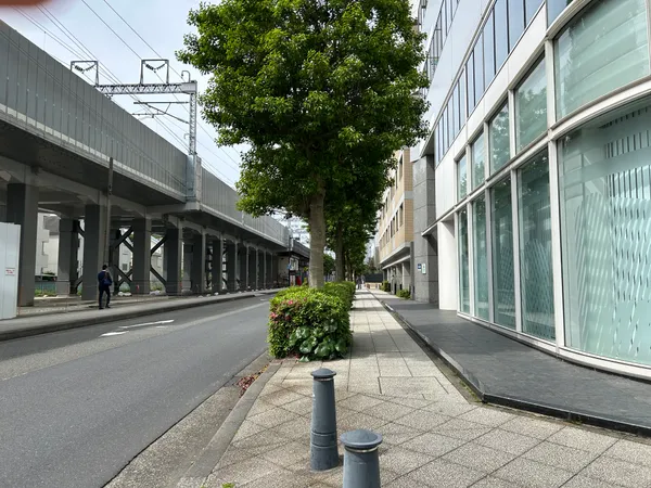 道路