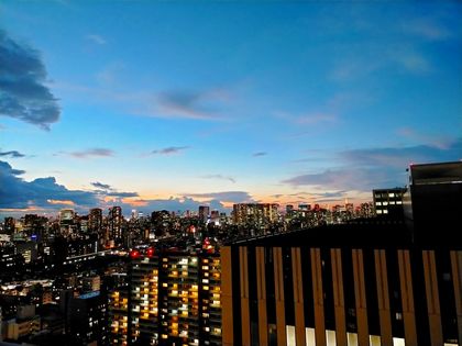 プライムパークス品川シーサイドザ・タワー 眺望