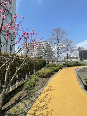 ニューライフ品川 外観 外観