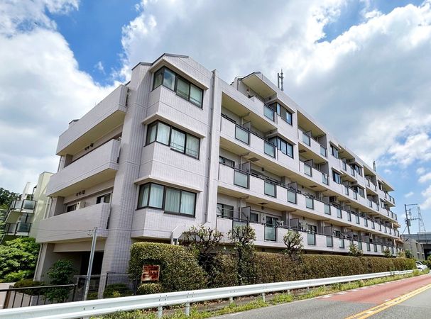 セザールリバーサイド上野毛 外観