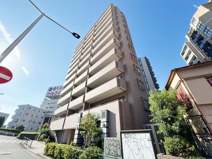 ドルフ新大橋リバーサイド 外観
