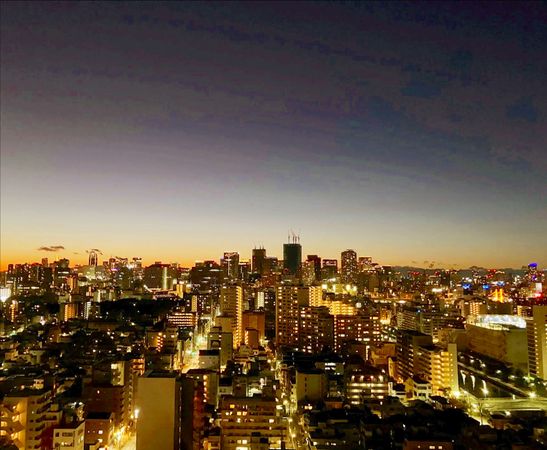 パークハウス清澄白河タワー 眺望 パークハウス清澄白河タワー 眺望