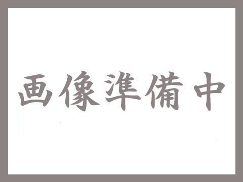 イーストコモンズ清澄白河セントラルタワー 間取図(平面図) イーストコモンズ清澄白河セントラルタワー 間取図(平面図)