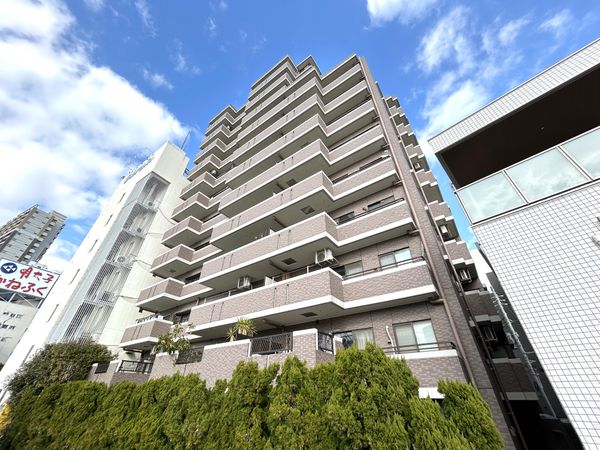 ナイスアーバン新大橋隅田川ステージ 外観 ナイスアーバン新大橋隅田川ステージ 外観