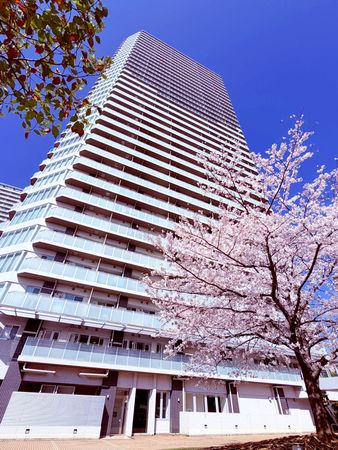 パークハウス清澄白河タワー 外観