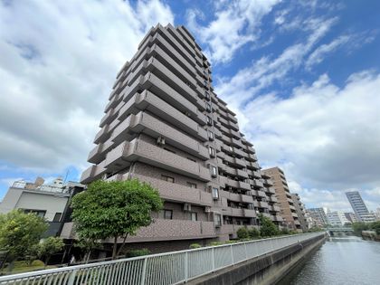 ライオンズマンション門前仲町古石場 眺望