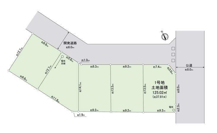 ふじみ野市大井中央1丁目 1区画 売地(セントラルパークヒルズ) 区画図 ふじみ野市大井中央1丁目 1区画 売地(セントラルパークヒルズ) 区画図