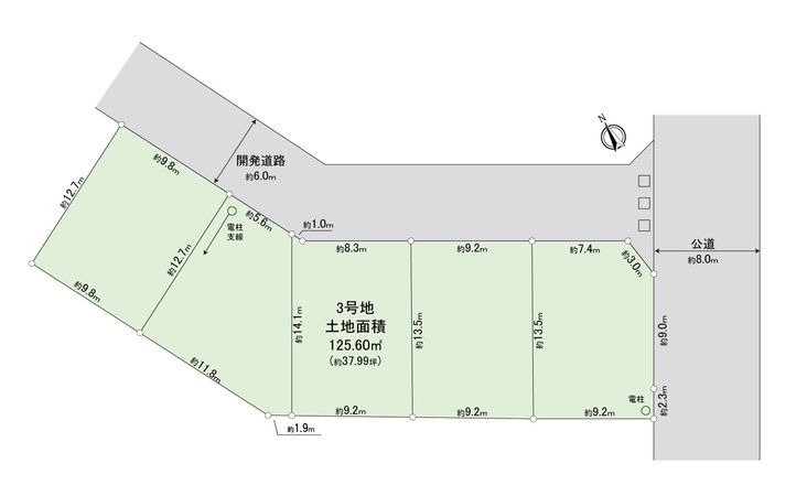 ふじみ野市大井中央1丁目 3区画 売地(セントラルパークヒルズ) 区画図 ふじみ野市大井中央1丁目 3区画 売地(セントラルパークヒルズ) 区画図