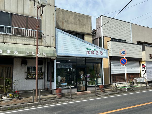 ふじみ野市亀久保 テラスハウス 外観