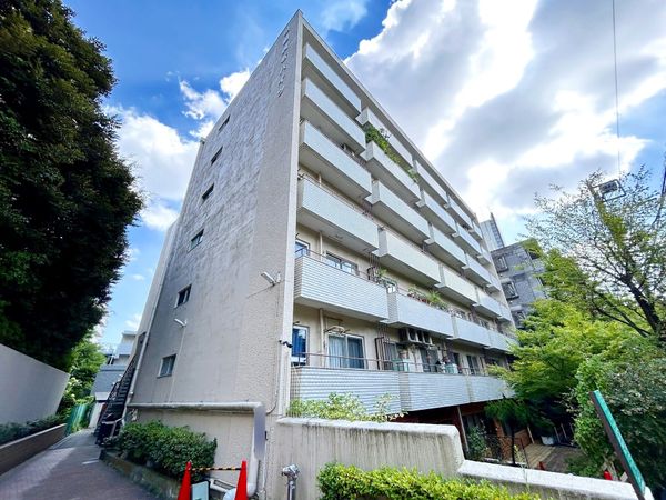 田園調布ハイツ 外観
