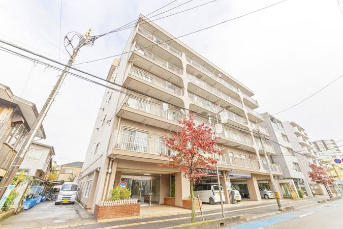 マンション蕨アイリス 外観