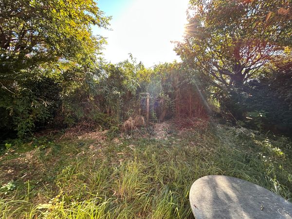 中区山手町(古家付土地) 眺望 中区山手町(古家付土地) 眺望