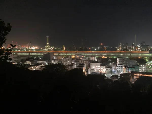 【住戸からの眺望】住戸から夜景を楽しめます。