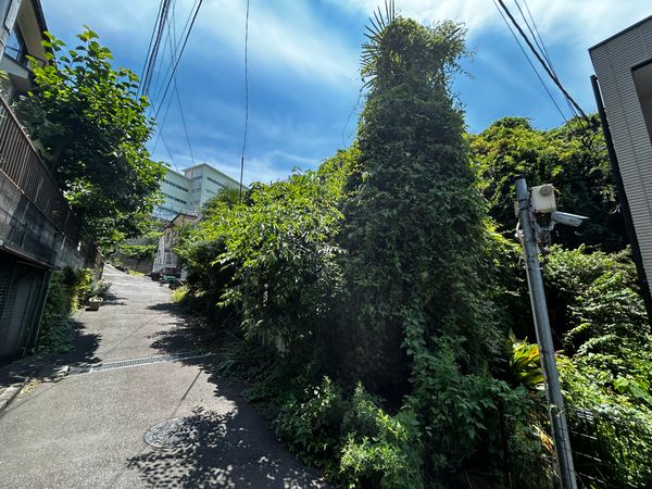 土地写真