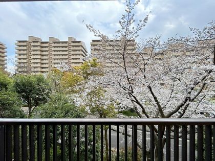 パークシティ本牧 F棟 眺望